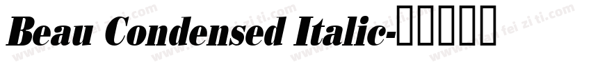 Beau Condensed Italic字体转换